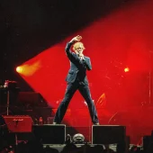 Pulp